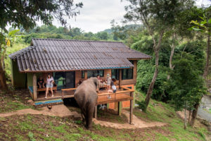 bungalow elephant chiang mai