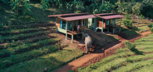 bungalow elephant drone