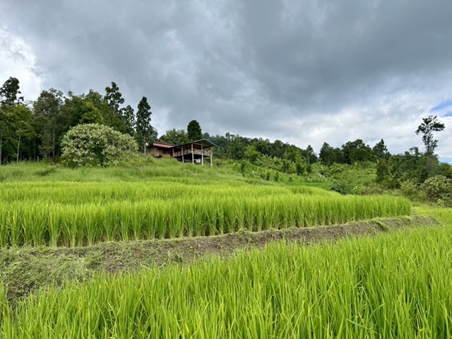 karencamp3